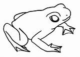 Frog Lineart Starlight Airwaves Kiezen Bord sketch template