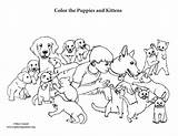Kittens Sponsors Wonderful sketch template