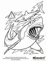 Coloring Shark Pages Megalodon Printable Boy Tiger Print Color Great Sharkboy Sketch Printables Goblin Sharks Kids Thresher Realistic Drawing Ocean sketch template