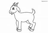 Granja Ziegenbock Farm Bauernhof Cabra Ziege Ausmalbild Ausmalen Bauernhoftiere Lachender Kuh Colomio Cabro Malvorlage Glocke Goats sketch template