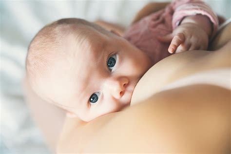 a importância do aleitamento materno para mães e bebês summit saúde