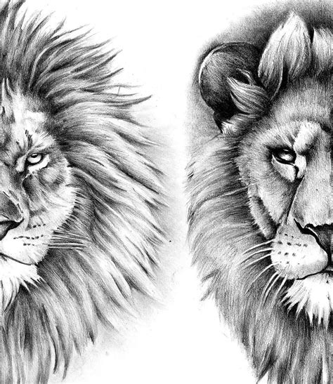 realistic lion tattoo design digital  tattoodesignstock