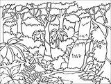 Selva Tropical Coloring Jungle sketch template