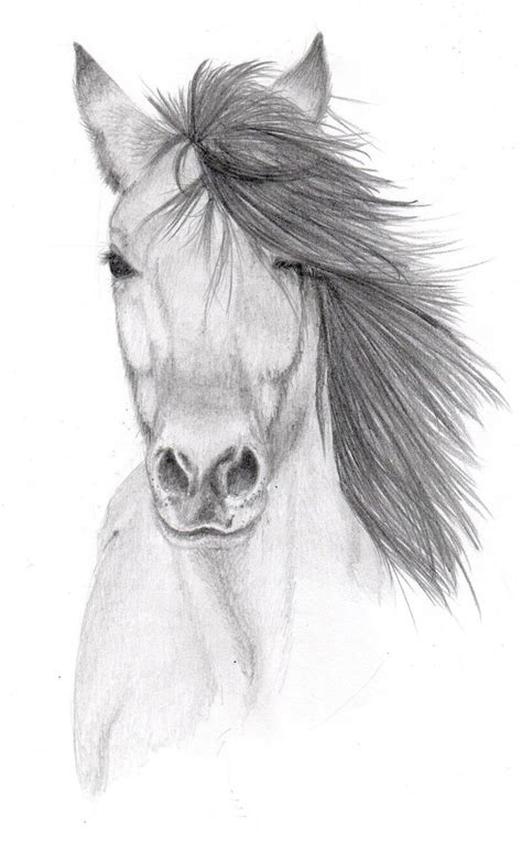 drawing ideas pencil easy horse drawing   burn