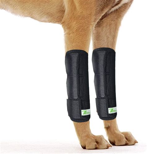 front dog leg brace  pair heals hock joint wrap sleeve  hind legslxl front amazonca