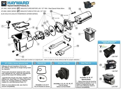 hayward pool pump parts diagram diagram  source
