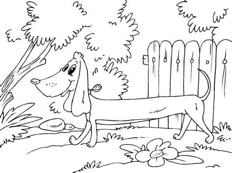 sausage dog coloring page coloring pages