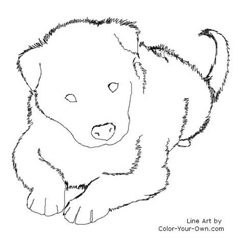 border collie dog puppy coloring page