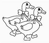 Oie Gans Coloriages Oca Colorat Imagini Oies Animaux Desenhos Gaste Desene Aprendiz Cris Croche Enfant sketch template