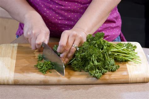 chopping  stock  pictures chopping royalty   public