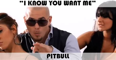i know you want me calle ocho song by pitbull music charts archive