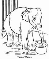 Zoo Coloring Pages Elephant Kids Printable Trunk sketch template