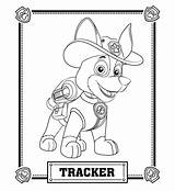 Patrol Paw Tracker Coloring Pages Visit Printable Sheets sketch template
