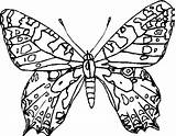 Farfalle Papillons Lescoloriages sketch template