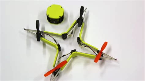 epfl insect magnet drone  drone rush