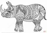 Coloring Rhino Pages Zentangle Printable sketch template