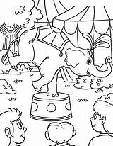 Zirkus Balanciert Elefant Ausmalbild Ausdrucken Ausmalen Besuchen sketch template