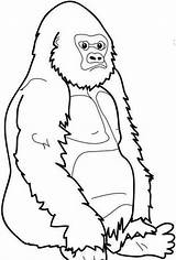 Gorilla Clipart Sitting Library Clip sketch template