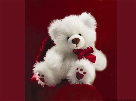 happy teddy day  teddy bear hd wallpapers  quotes