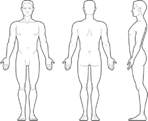 male human body outline clip art library