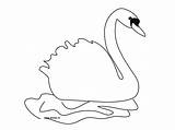 Swan Coloring Pages Template Animal Pond Drawing Choose Board Baby Thedrawbot Results sketch template