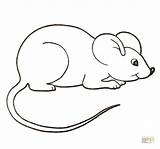Mouse Coloring Color Clipart Pages Mice Colouring Printable Cute House Para Rato Paint Drawing Desenho Kids Crafts Colorir Supercoloring Google sketch template