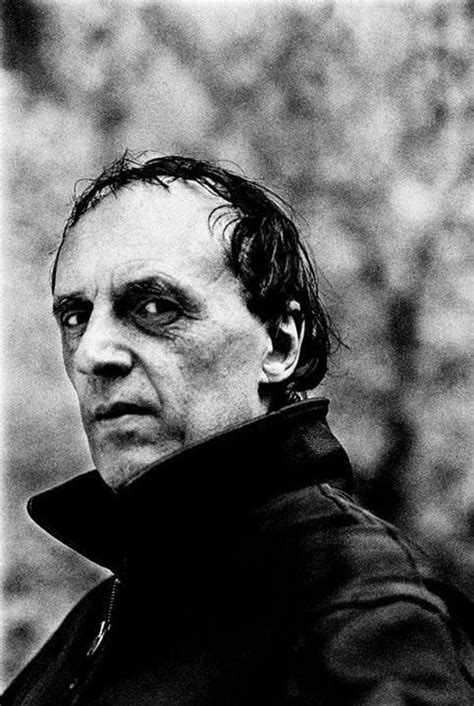 il regista italiano dario argento dario argento movie directors