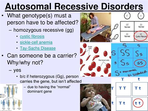 Ppt Unit 8 Genetics And Heredity Powerpoint Presentation