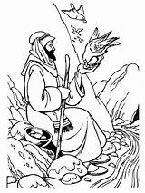 Elijah Coloring Ravens Prophet Accept Feeding Samaritan Raven Hungry Coloringsun sketch template