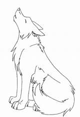 Wolf Outline Drawing Coloring Pages Howling Anime Popular Line sketch template