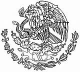 Escudo Nacional Mexicano Bandera Dibujos Mexicana Imagenpng Patrios Simbolos Patrio Patria Símbolo Seonegativo Uncategorized sketch template