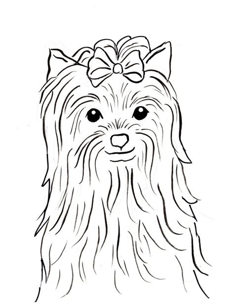 yorkies coloring pages ideas dog coloring page silky terrier puppy