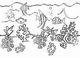 Ocean Coloring Drawing Sea Pages Plants Underwater Floor Ecosystem Creatures Clipart Animals Life Drawings Seaweed Fish Pencil Water Plant Drawn sketch template