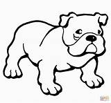 Bulldog Coloring Pages Printable English American Color Dog Bulldogs Puppy Animals Drawing Print Ausmalbilder Colouring Hund Template Kids Supercoloring Sheets sketch template