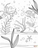 Unterwasserwelt Podwodny Malvorlagen świat Ryby Kinderbilder Wasser Tiere Kolorowanka Rätsel sketch template