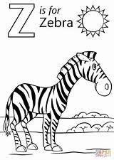 Coloring Zebra Letter Pages Cartoon Zebras Alphabet Supercoloring Printable Worksheets Colouring Color Preschool Kids Animal Print Zoo Words Template Colorings sketch template