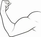 Braccio Muscle Bicep Disegno Disegnare Clipartmag Paintingvalley sketch template