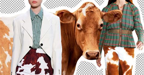 why is cow print everywhere