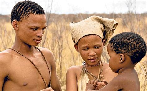 bushmen who hunt to survive are no poachers telegraph