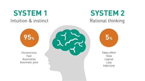 brain system   system