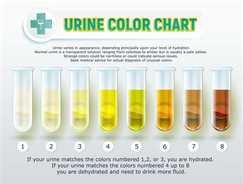 understanding  importance  urine color urology specialists  georgia