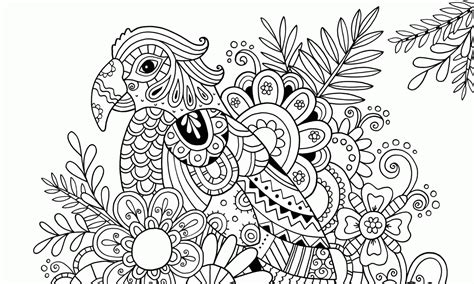 zen zentangle zendoodle coloring pages books