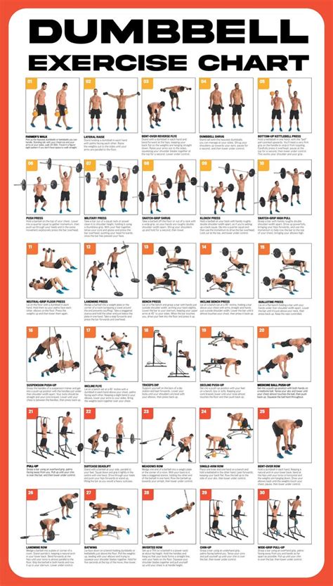 printable dumbbell exercise chart dumbbell workout workout chart workout posters
