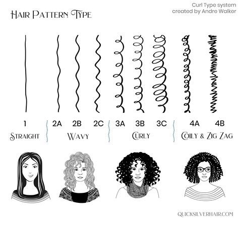 share  hair texture diagram latest ineteachers