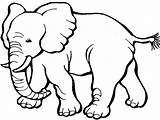 Mewarnai Gajah Kartun Binatang sketch template