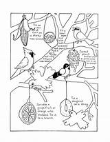Bird Coloring Feeder Pages Animal Sheets Feeding Birds Sheet Drawing Feeders Printable Indaba Drawings Crafts Color Getdrawings Visit Getcolorings sketch template