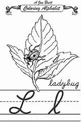 Alphabet Coloring Janbrett Ladybug Jan Cursive Click Brett Pdf sketch template