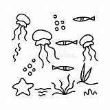 Inhabitants Underwater Colorings Algae Jellyfish sketch template