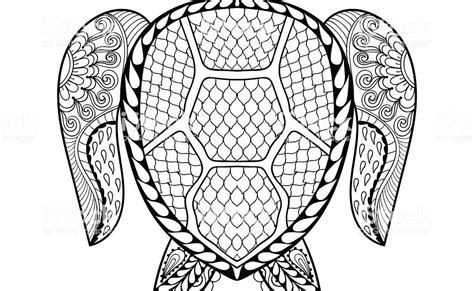 turtle coloring pictures thiva hellas