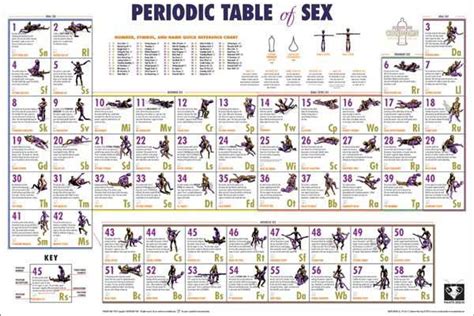Sex Positions For Bad Backs Girls Wild Party